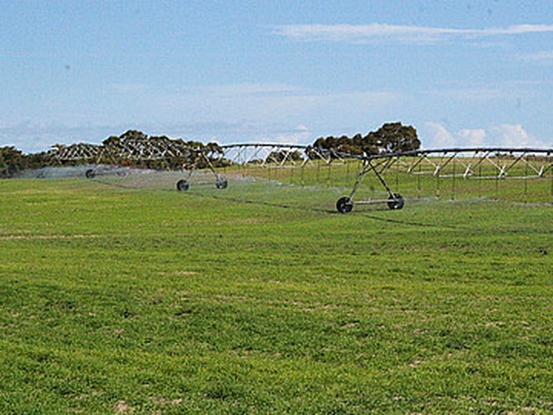 Emu Springs Road, Tintinara SA 5266