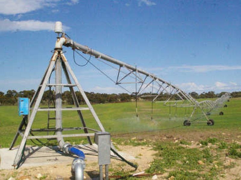 Emu Springs Road, Tintinara SA 5266
