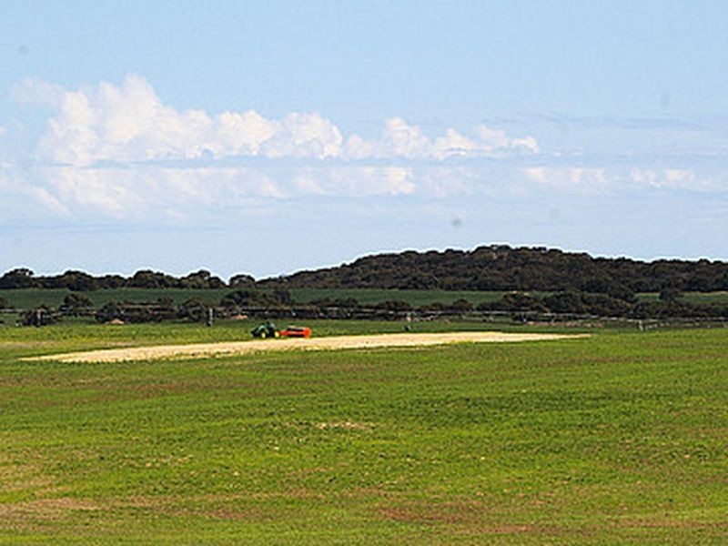 Emu Springs Road, Tintinara SA 5266