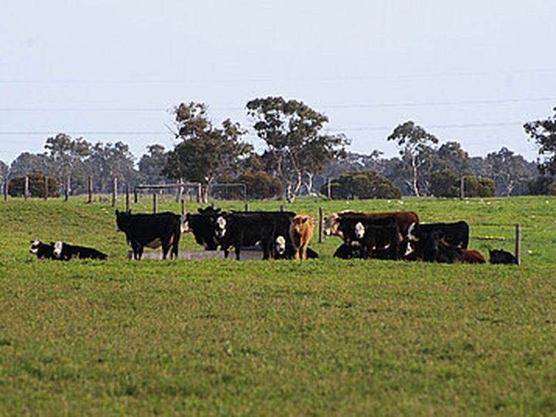 Emu Springs Road, Tintinara SA 5266