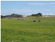 Emu Springs Road, Tintinara SA 5266
