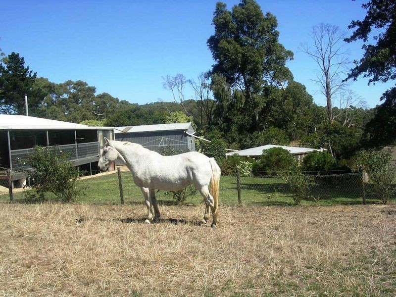 Greenhills Road, Macclesfield SA 5153