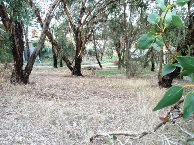 81/20 Shakes Road, Nairne SA 5252