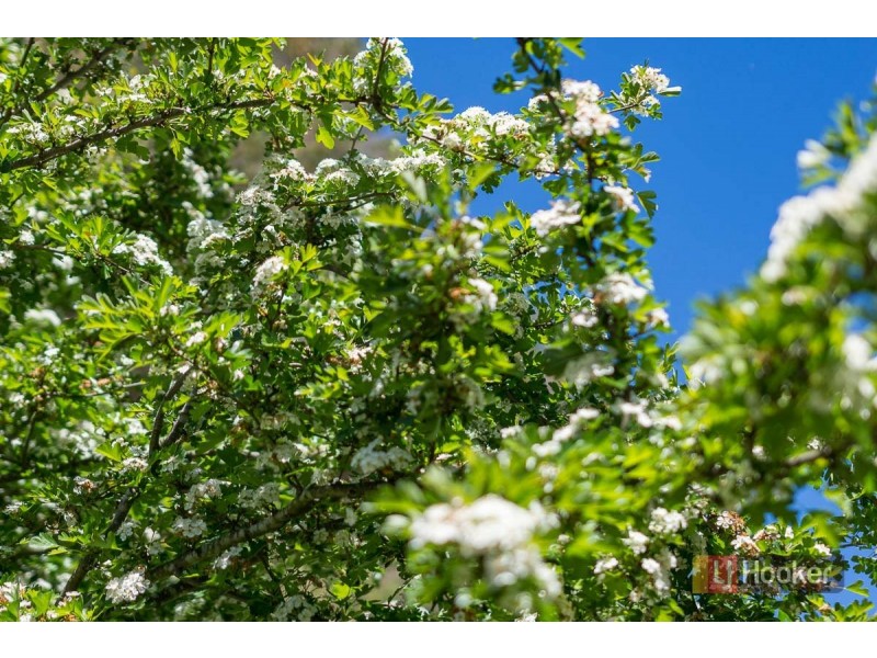 11 Mill Street, Mount Barker SA 5251