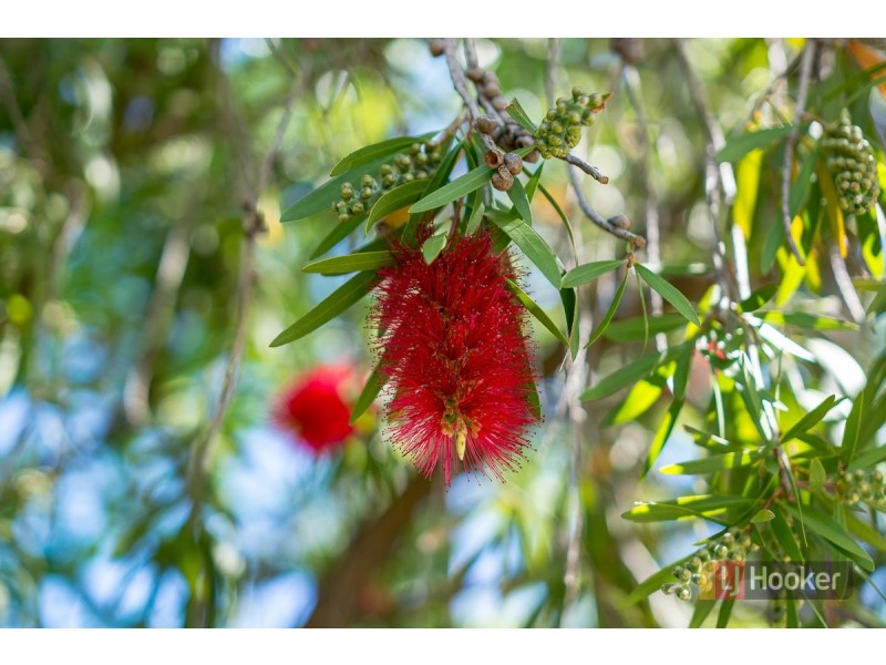 11 Mill Street, Mount Barker SA 5251