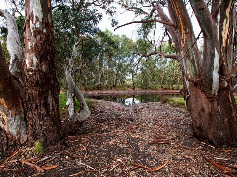 189 Pyrites Road, Nairne SA 5252