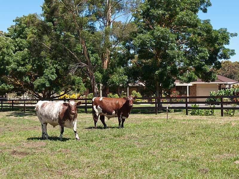 LYNWOOD Church Hill/Cobbledick Road, Echunga SA 5153