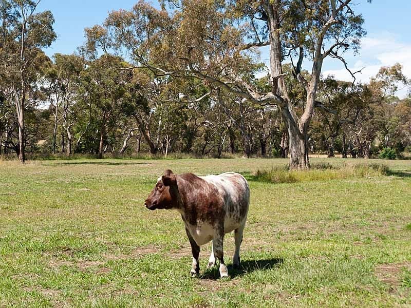 LYNWOOD Church Hill/Cobbledick Road, Echunga SA 5153