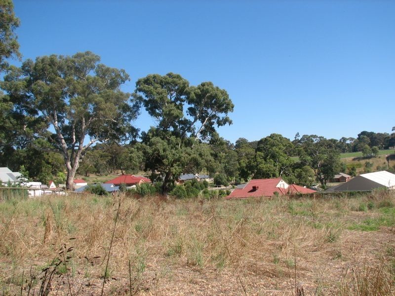 31 Claret Ash Drive, Mount Barker SA 5251