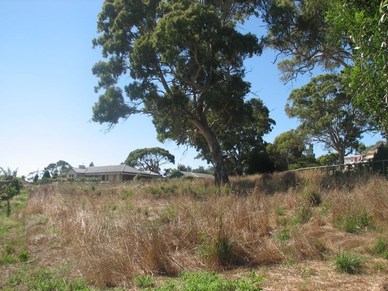 31 Claret Ash Drive, Mount Barker SA 5251