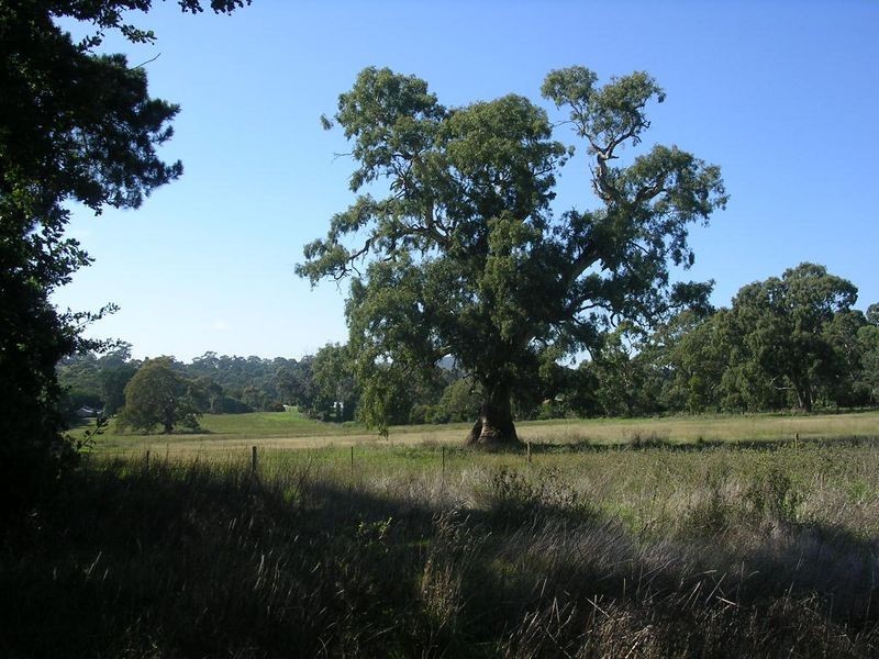 95/ Alston Road, Blakiston SA 5250