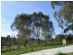 8/100A Main Street, Lobethal SA 5241