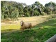 49/ Yunkunga Road, Mount Barker SA 5251