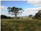 49/ Yunkunga Road, Mount Barker SA 5251