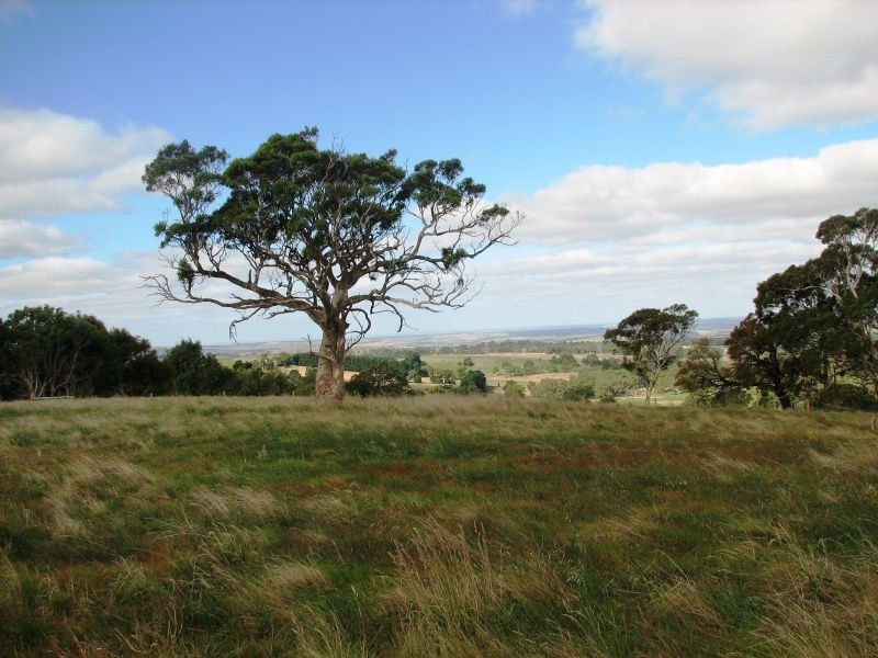 49/ Yunkunga Road, Mount Barker SA 5251