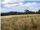 49/ Yunkunga Road, Mount Barker SA 5251