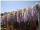 59 Godley Road, Echunga SA 5153