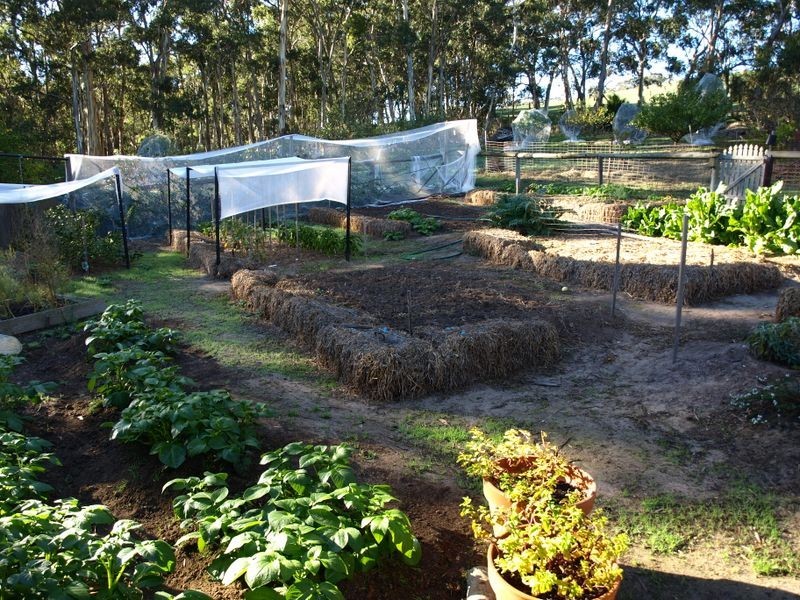 59 Godley Road, Echunga SA 5153