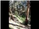 59 Godley Road, Echunga SA 5153