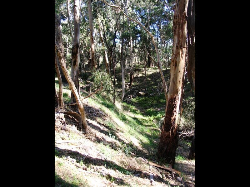 59 Godley Road, Echunga SA 5153