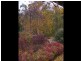 59 Godley Road, Echunga SA 5153