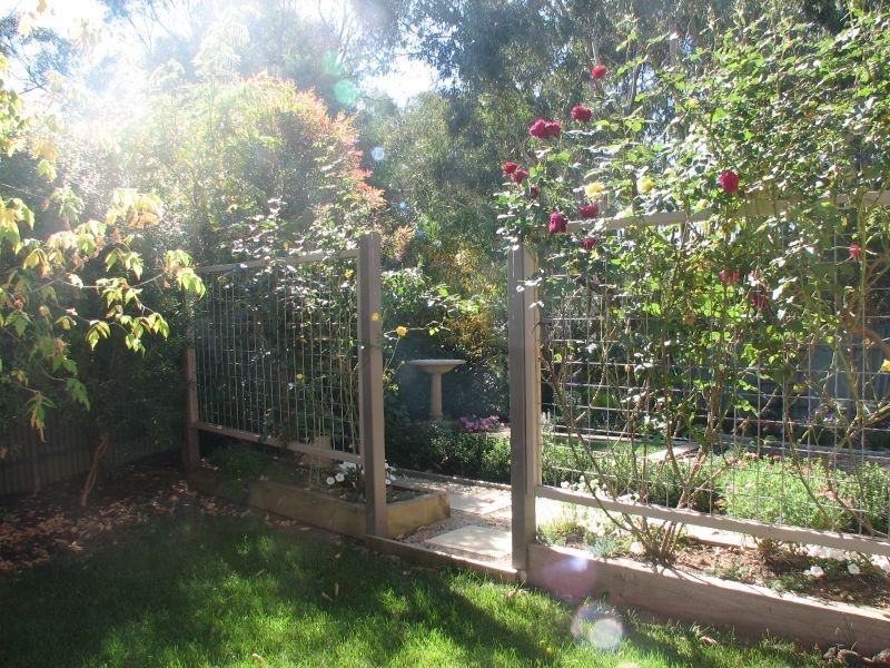 11 Federation Way, Nairne SA 5252