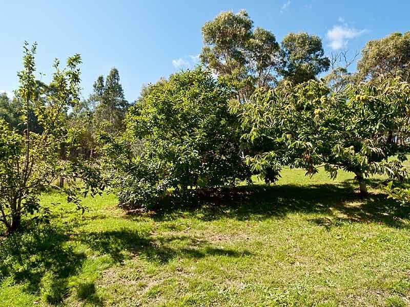 11 Nitschke Road, Littlehampton SA 5250