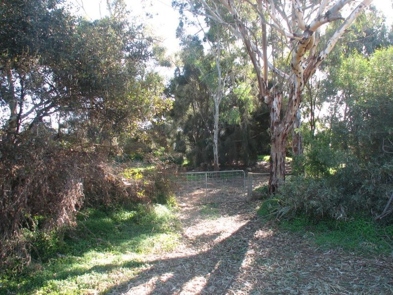 22 Hagen Street, Callington SA 5254