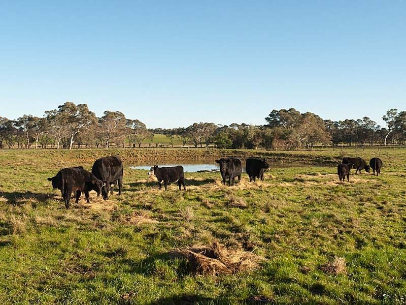 315 Kondoparinga Road, Meadows SA 5201