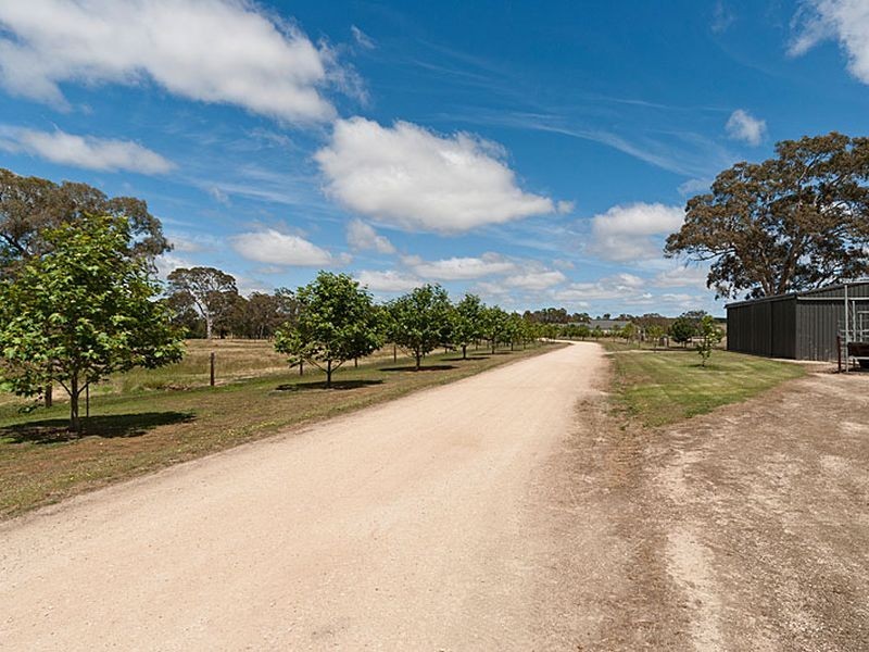 315 Kondoparinga Road, Meadows SA 5201