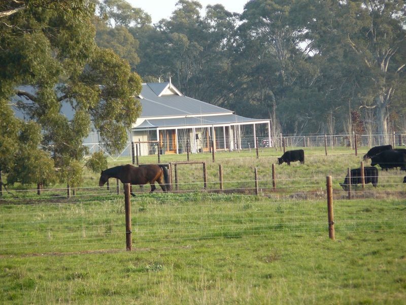 315 Kondoparinga Road, Meadows SA 5201