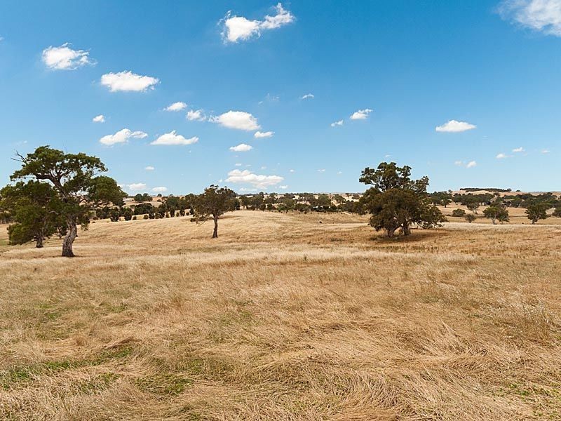 1021 Terlinga Road, Mount Torrens SA 5244