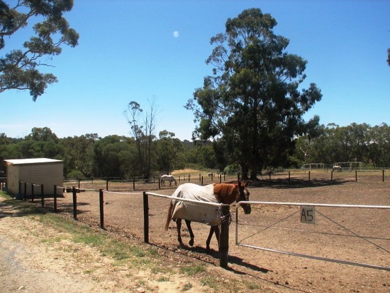 31 Rowe Road, Biggs Flat SA 5153