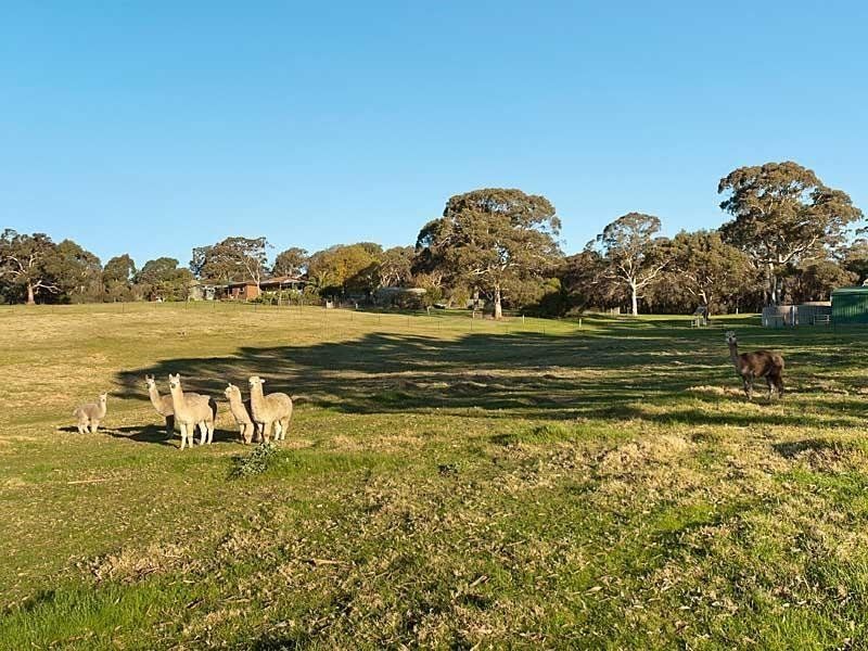 351 Native Avenue, Wistow SA 5251