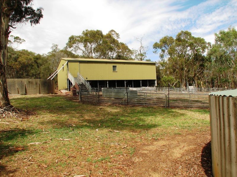 351 Native Avenue, Wistow SA 5251