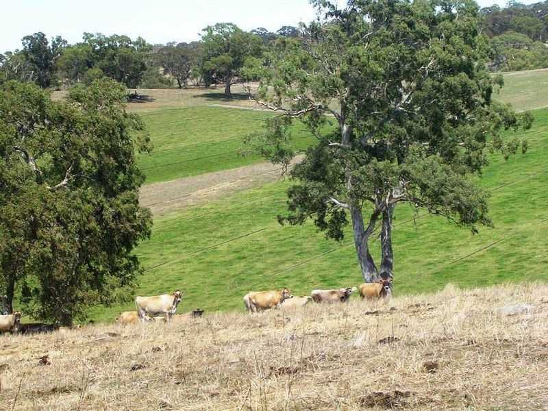 60 Pitt Road, Wistow SA 5251