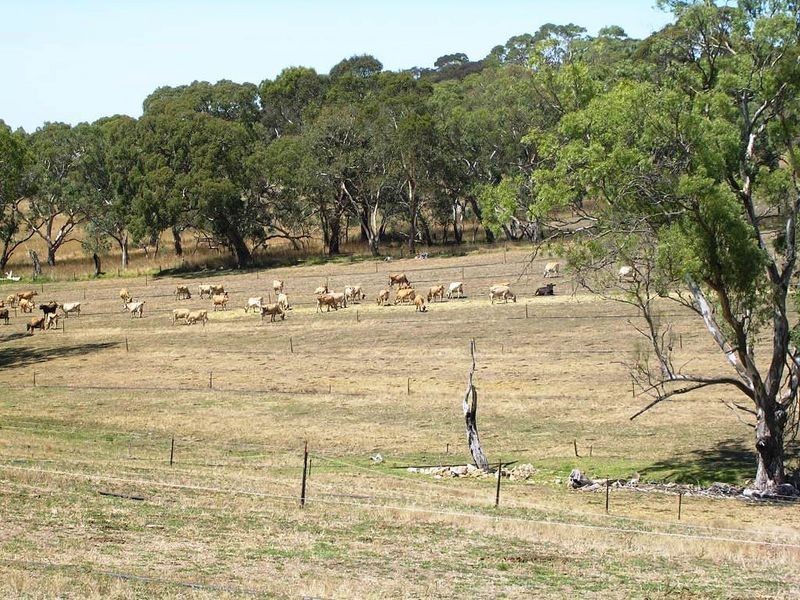 60 Pitt Road, Wistow SA 5251