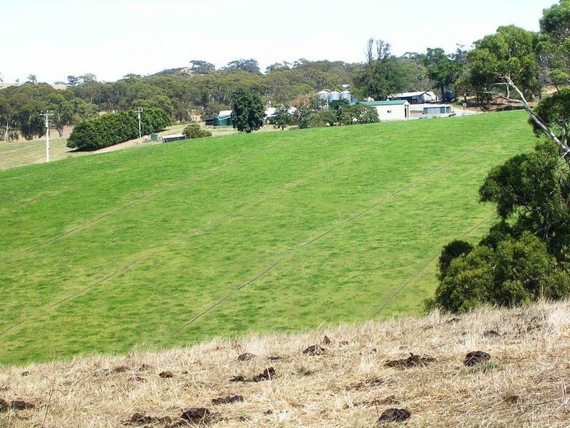 60 Pitt Road, Wistow SA 5251