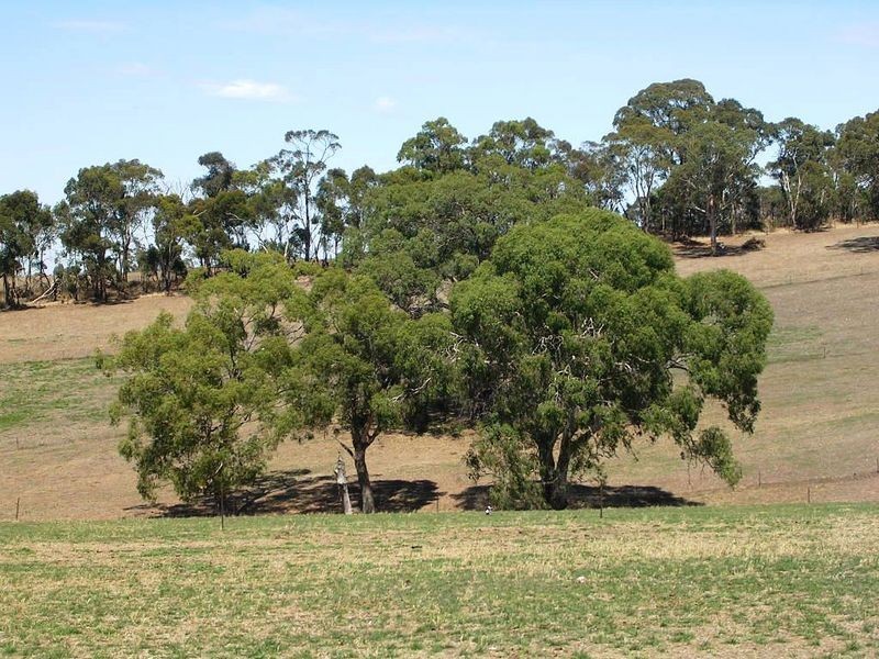 60 Pitt Road, Wistow SA 5251