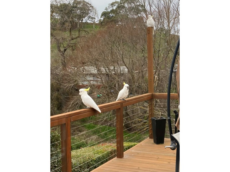 32 Clydesdale Place, Nairne SA 5252