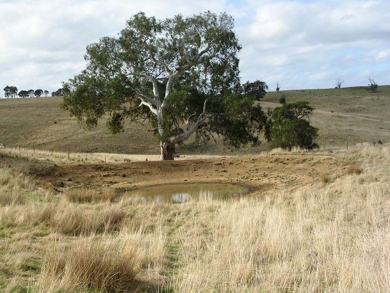 2/ Tavener Road, Wistow SA 5251