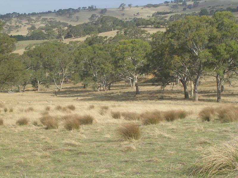 2/ Tavener Road, Wistow SA 5251