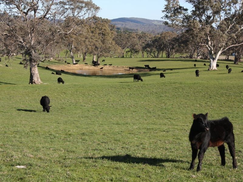 Section 1633/ Black Snake Road, Birdwood SA 5234