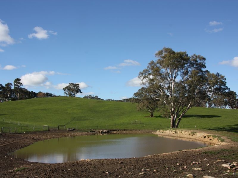 Section 1633/ Black Snake Road, Birdwood SA 5234