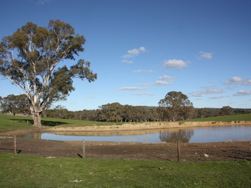 Section 1633/ Black Snake Road, Birdwood SA 5234