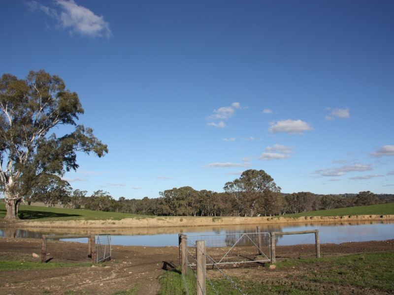 Section 1633/ Black Snake Road, Birdwood SA 5234