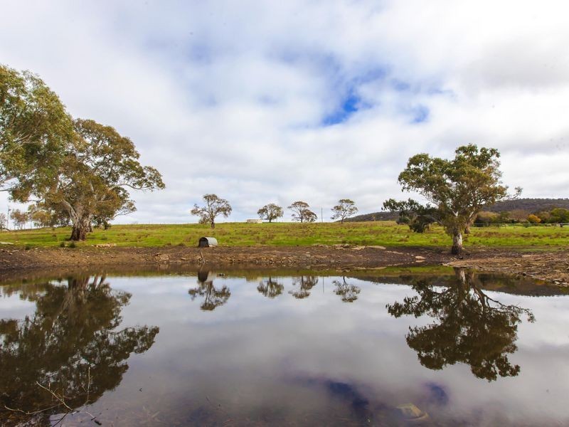 158 Cattle Route Road, Mount Barker SA 5251