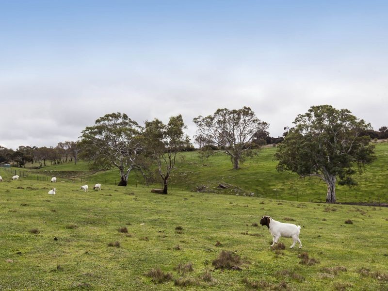 158 Cattle Route Road, Mount Barker SA 5251