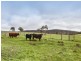 158 Cattle Route Road, Mount Barker SA 5251