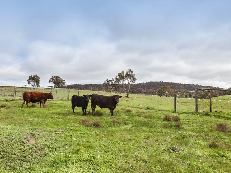 158 Cattle Route Road, Mount Barker SA 5251